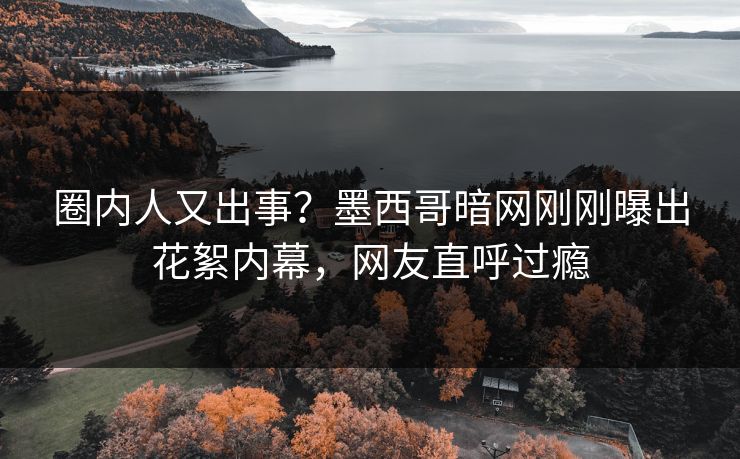 圈内人又出事？墨西哥暗网刚刚曝出花絮内幕，网友直呼过瘾