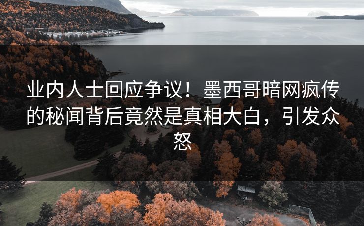 业内人士回应争议！墨西哥暗网疯传的秘闻背后竟然是真相大白，引发众怒