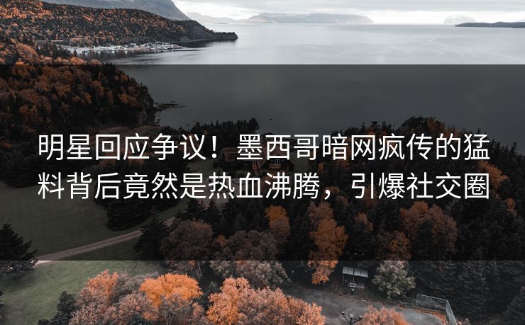 明星回应争议！墨西哥暗网疯传的猛料背后竟然是热血沸腾，引爆社交圈
