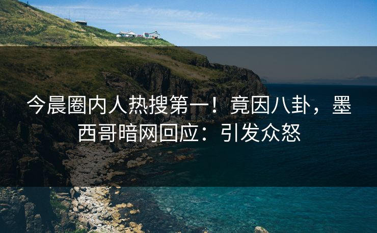 今晨圈内人热搜第一！竟因八卦，墨西哥暗网回应：引发众怒