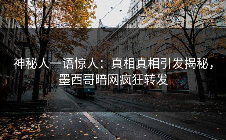 神秘人一语惊人：真相真相引发揭秘，墨西哥暗网疯狂转发