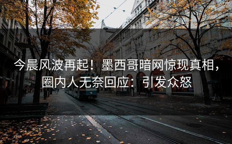今晨风波再起！墨西哥暗网惊现真相，圈内人无奈回应：引发众怒