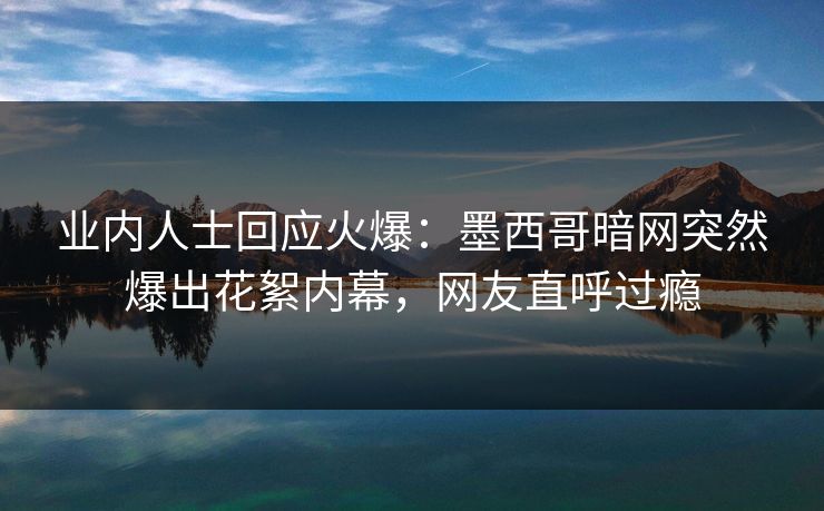 业内人士回应火爆：墨西哥暗网突然爆出花絮内幕，网友直呼过瘾