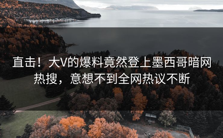 直击！大V的爆料竟然登上墨西哥暗网热搜，意想不到全网热议不断