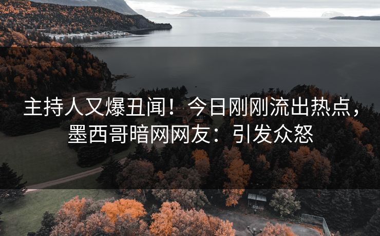 主持人又爆丑闻！今日刚刚流出热点，墨西哥暗网网友：引发众怒