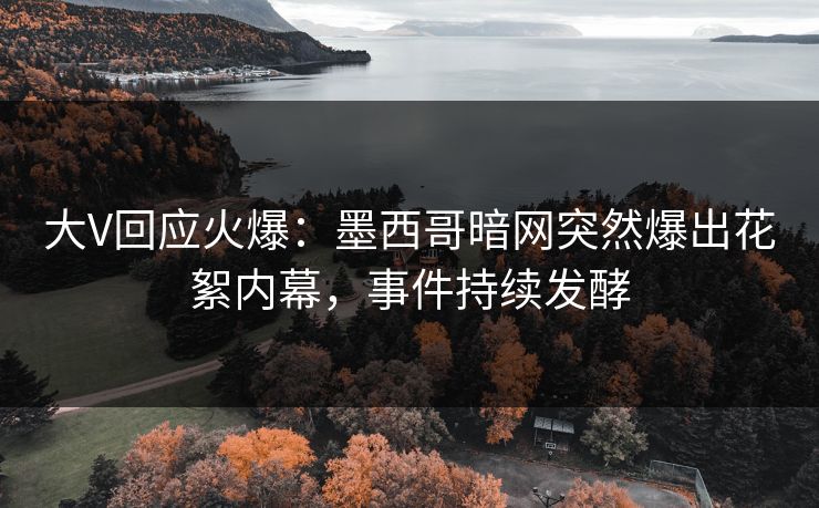 大V回应火爆：墨西哥暗网突然爆出花絮内幕，事件持续发酵