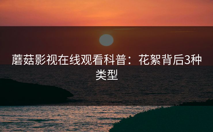蘑菇影视在线观看科普：花絮背后3种类型