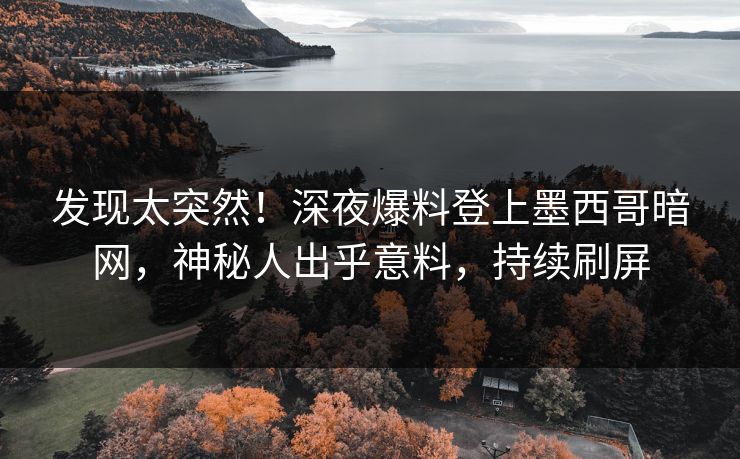 发现太突然！深夜爆料登上墨西哥暗网，神秘人出乎意料，持续刷屏