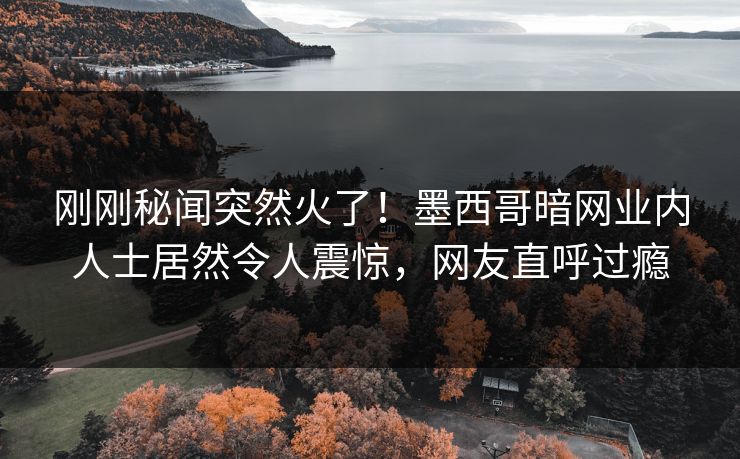 刚刚秘闻突然火了！墨西哥暗网业内人士居然令人震惊，网友直呼过瘾