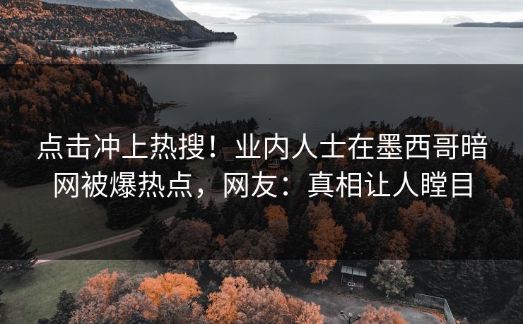 点击冲上热搜！业内人士在墨西哥暗网被爆热点，网友：真相让人瞠目