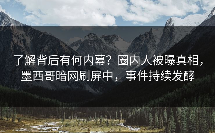 了解背后有何内幕？圈内人被曝真相，墨西哥暗网刷屏中，事件持续发酵