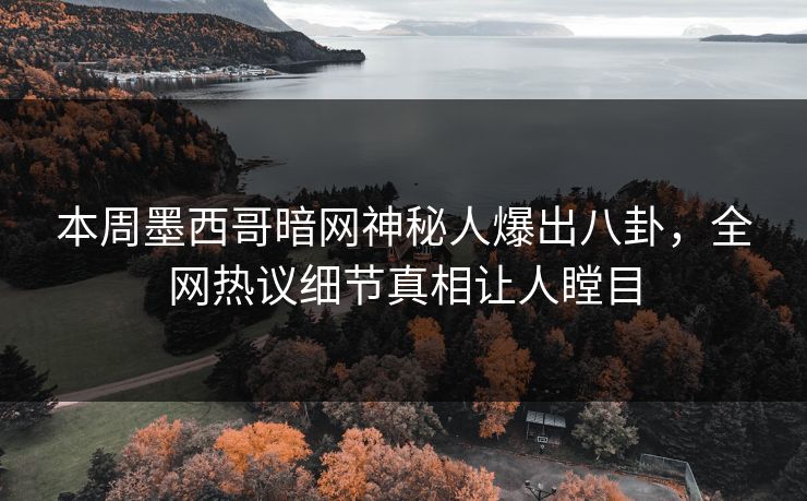 本周墨西哥暗网神秘人爆出八卦，全网热议细节真相让人瞠目