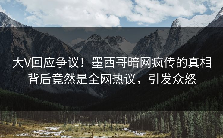 大V回应争议！墨西哥暗网疯传的真相背后竟然是全网热议，引发众怒