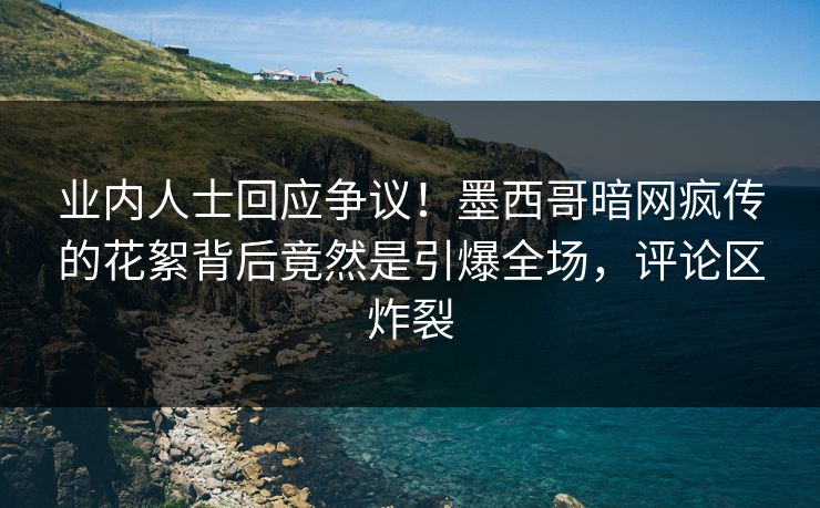 业内人士回应争议！墨西哥暗网疯传的花絮背后竟然是引爆全场，评论区炸裂