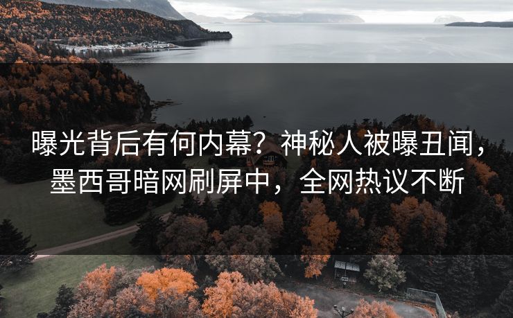 曝光背后有何内幕？神秘人被曝丑闻，墨西哥暗网刷屏中，全网热议不断
