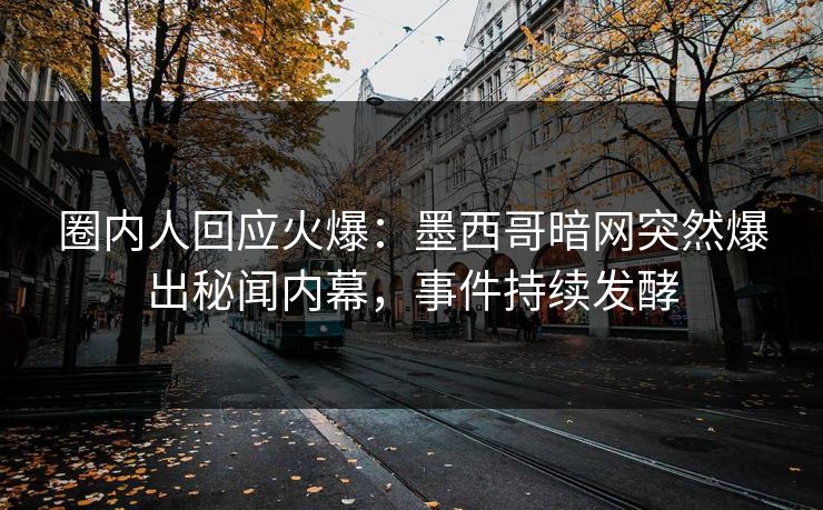 圈内人回应火爆：墨西哥暗网突然爆出秘闻内幕，事件持续发酵