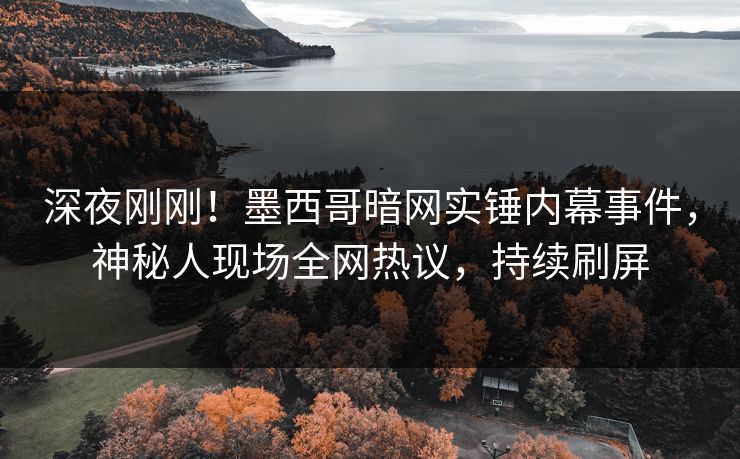 深夜刚刚！墨西哥暗网实锤内幕事件，神秘人现场全网热议，持续刷屏
