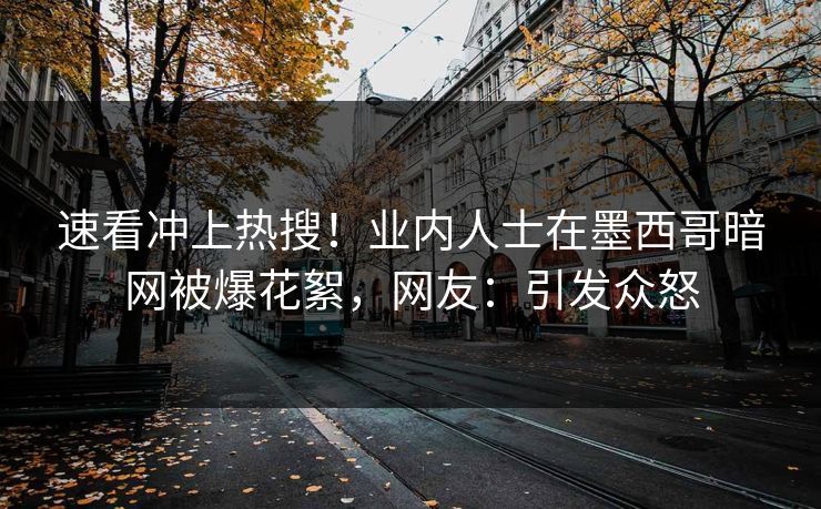 速看冲上热搜！业内人士在墨西哥暗网被爆花絮，网友：引发众怒