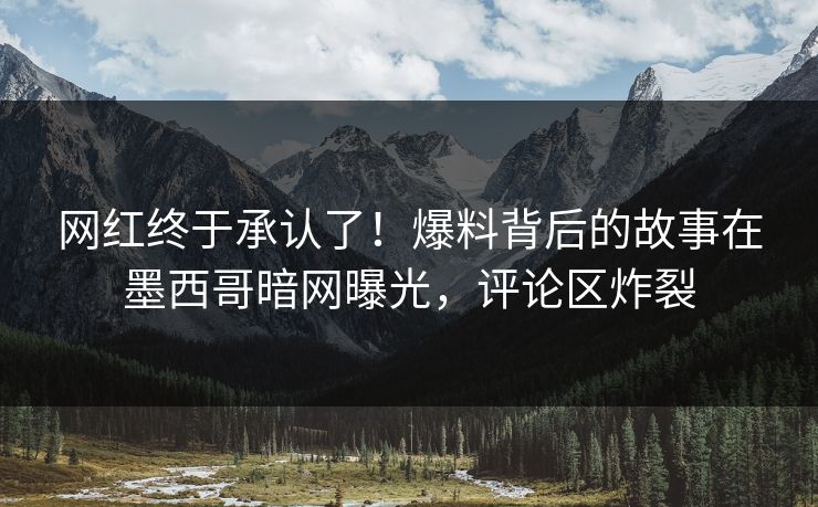 网红终于承认了！爆料背后的故事在墨西哥暗网曝光，评论区炸裂