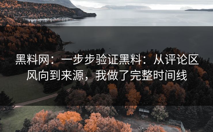 黑料网：一步步验证黑料：从评论区风向到来源，我做了完整时间线